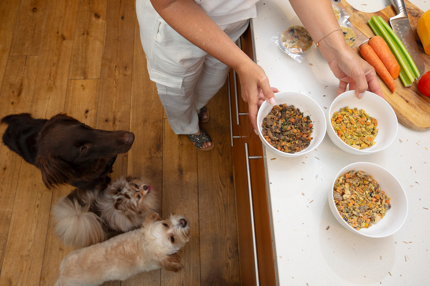 good food for dog allergies