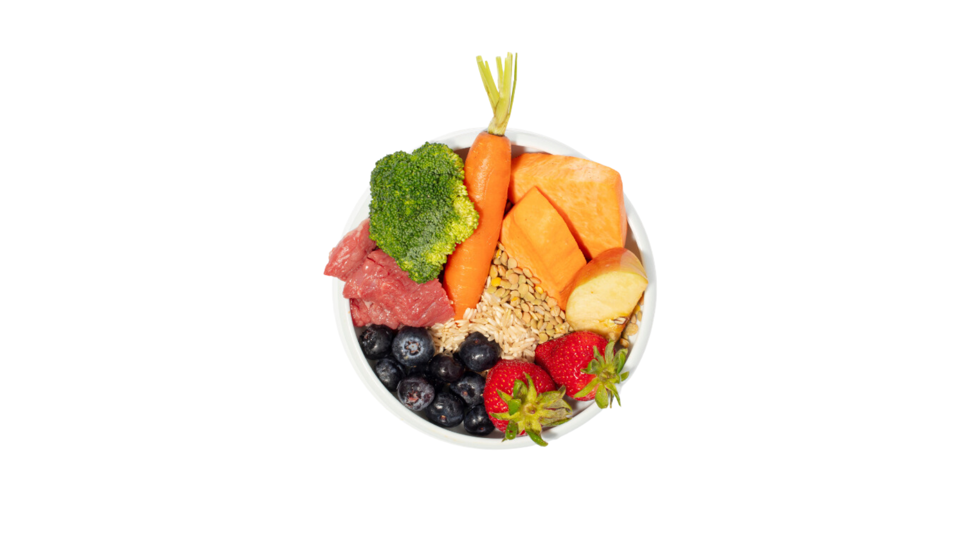 healthy food for dogs