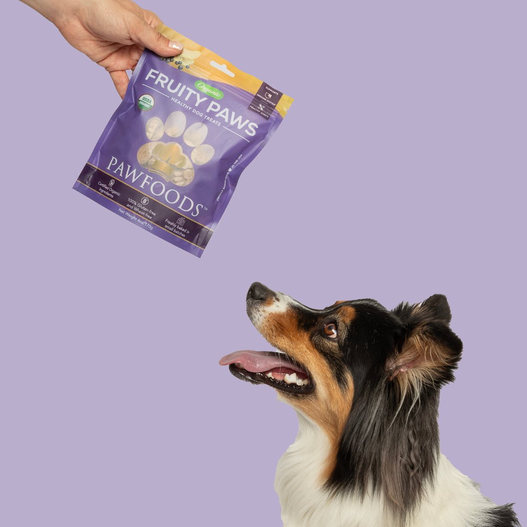 Fruity Paws - PawFoods