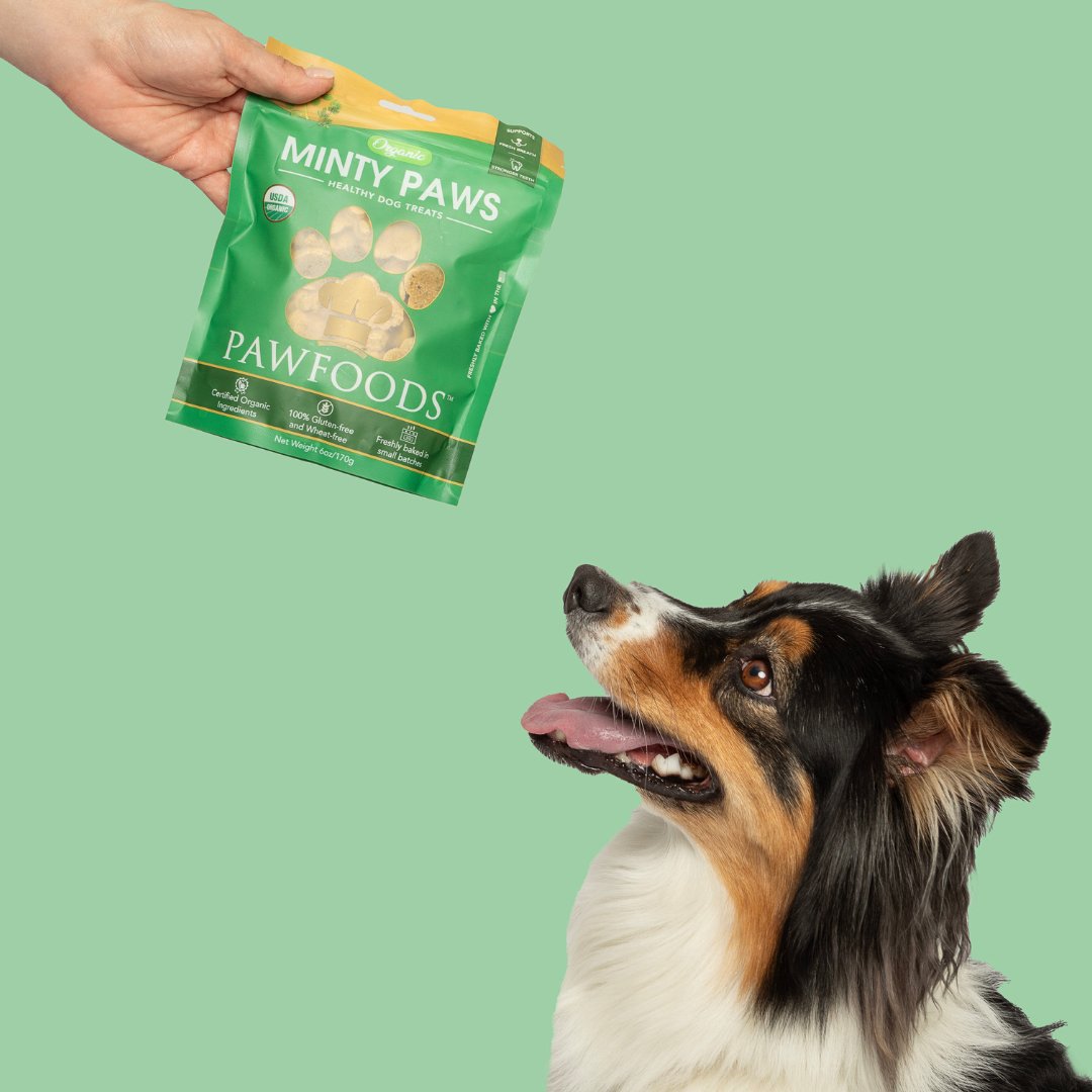 Minty Paws - PawFoods