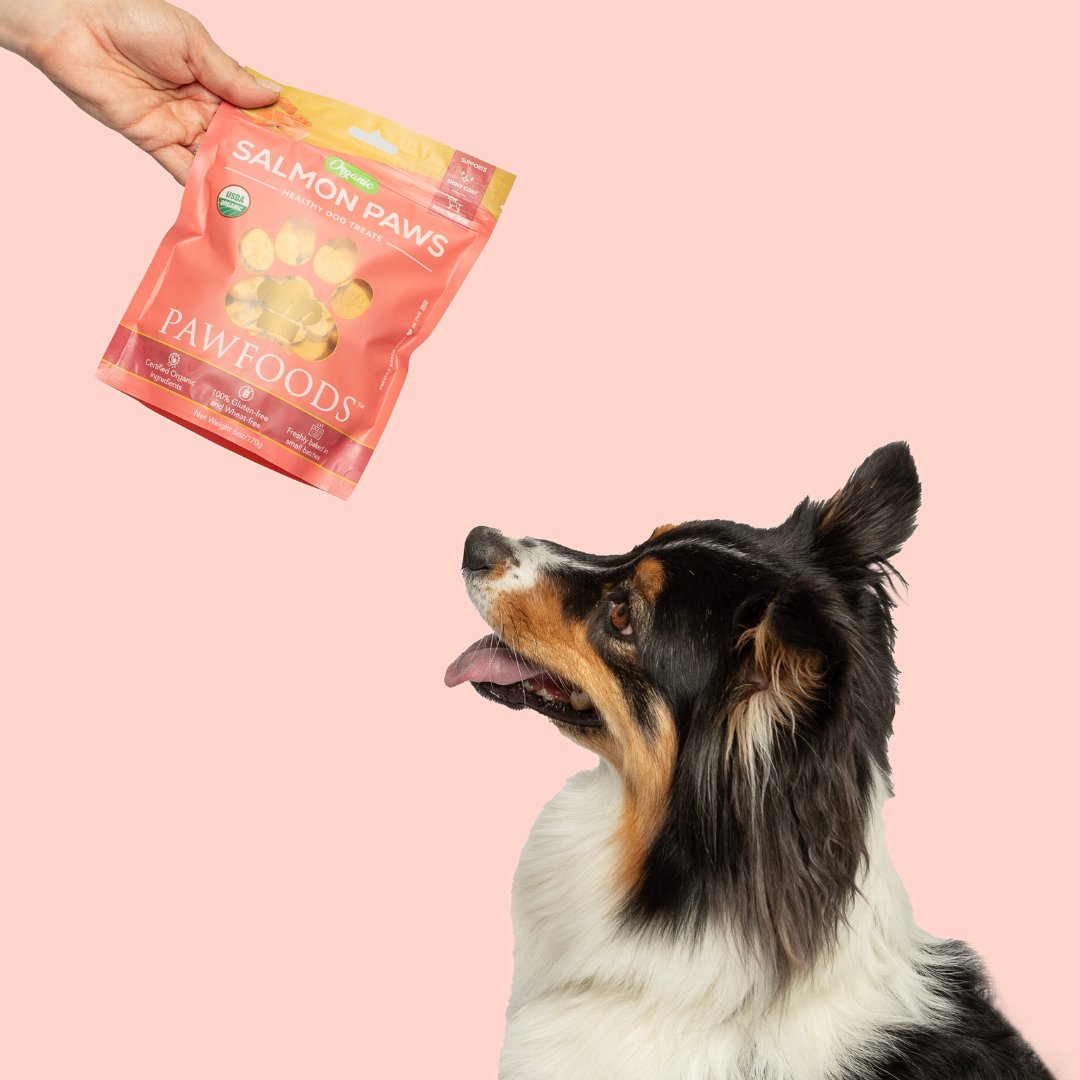 Salmon Paws - PawFoods