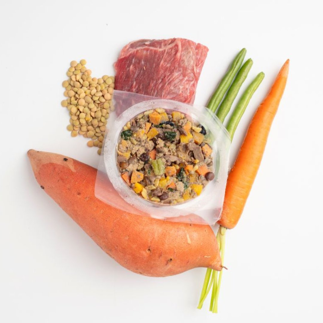 Steak Recipe - PawFoods