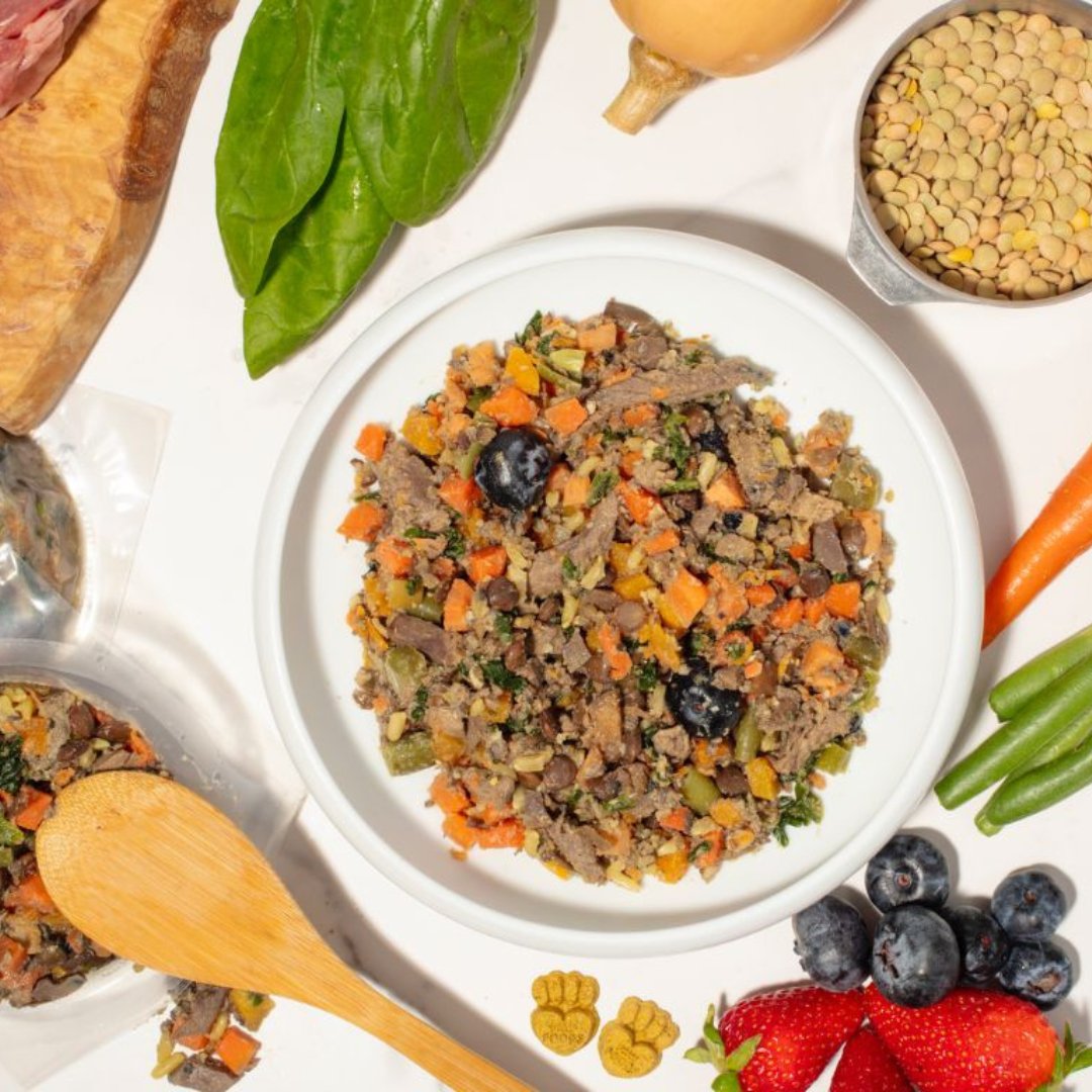 Steak Recipe - PawFoods