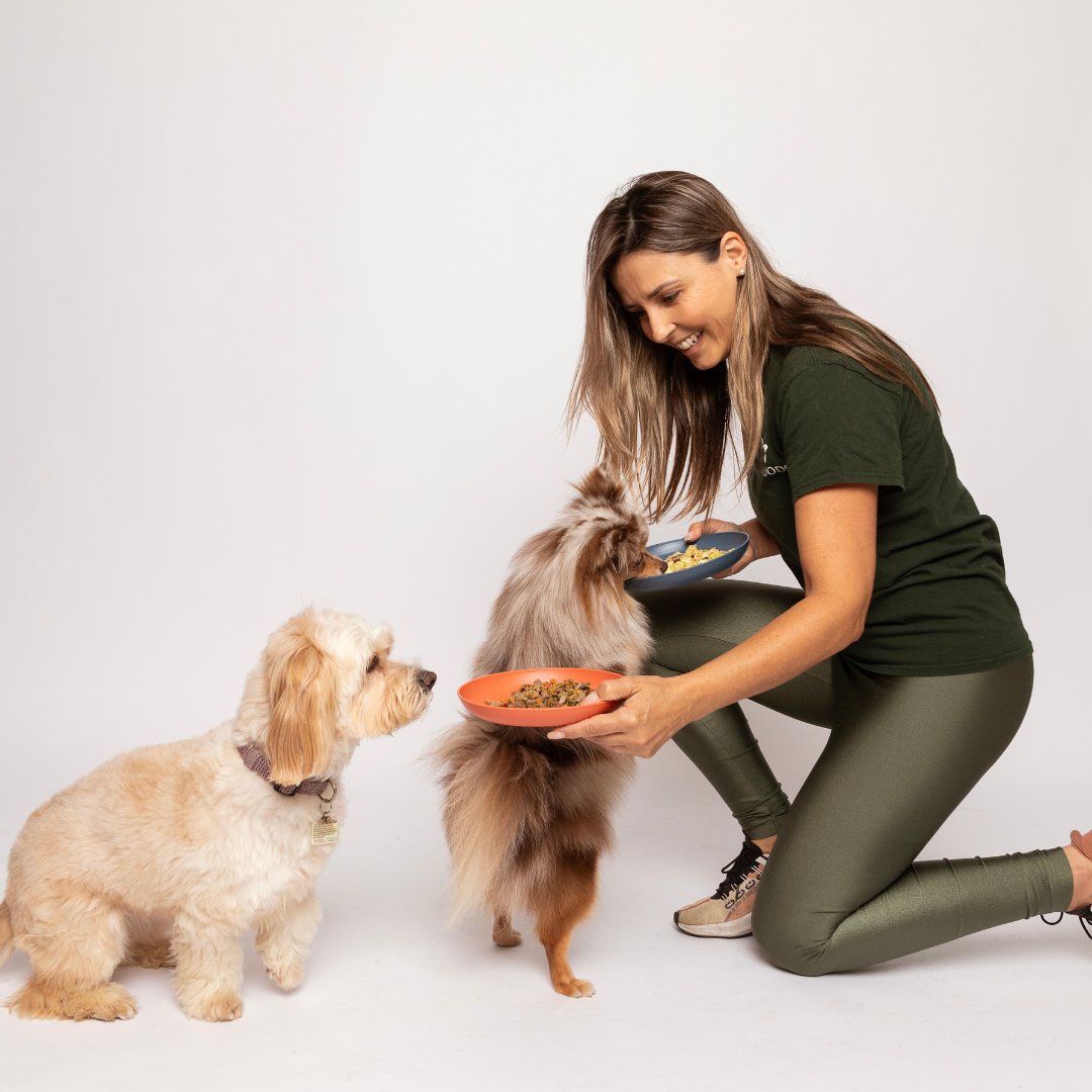 Steak Recipe - PawFoods