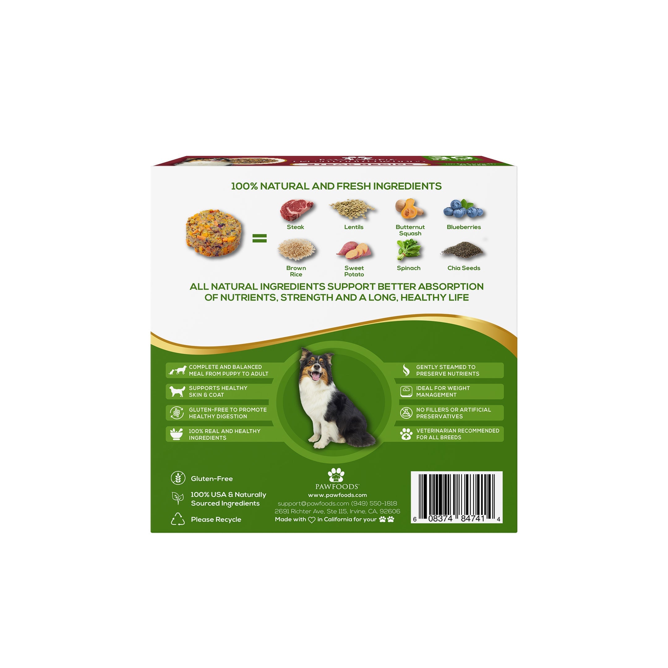 Steak Recipe - PawFoods