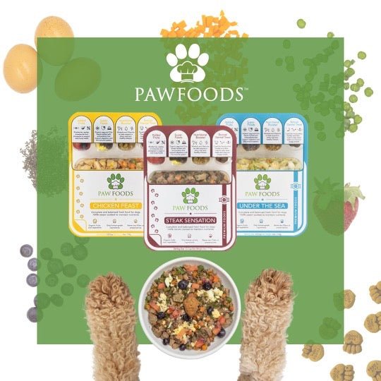PawFoods Meals - PawFoods | Healthy Food & Treats for Dogs