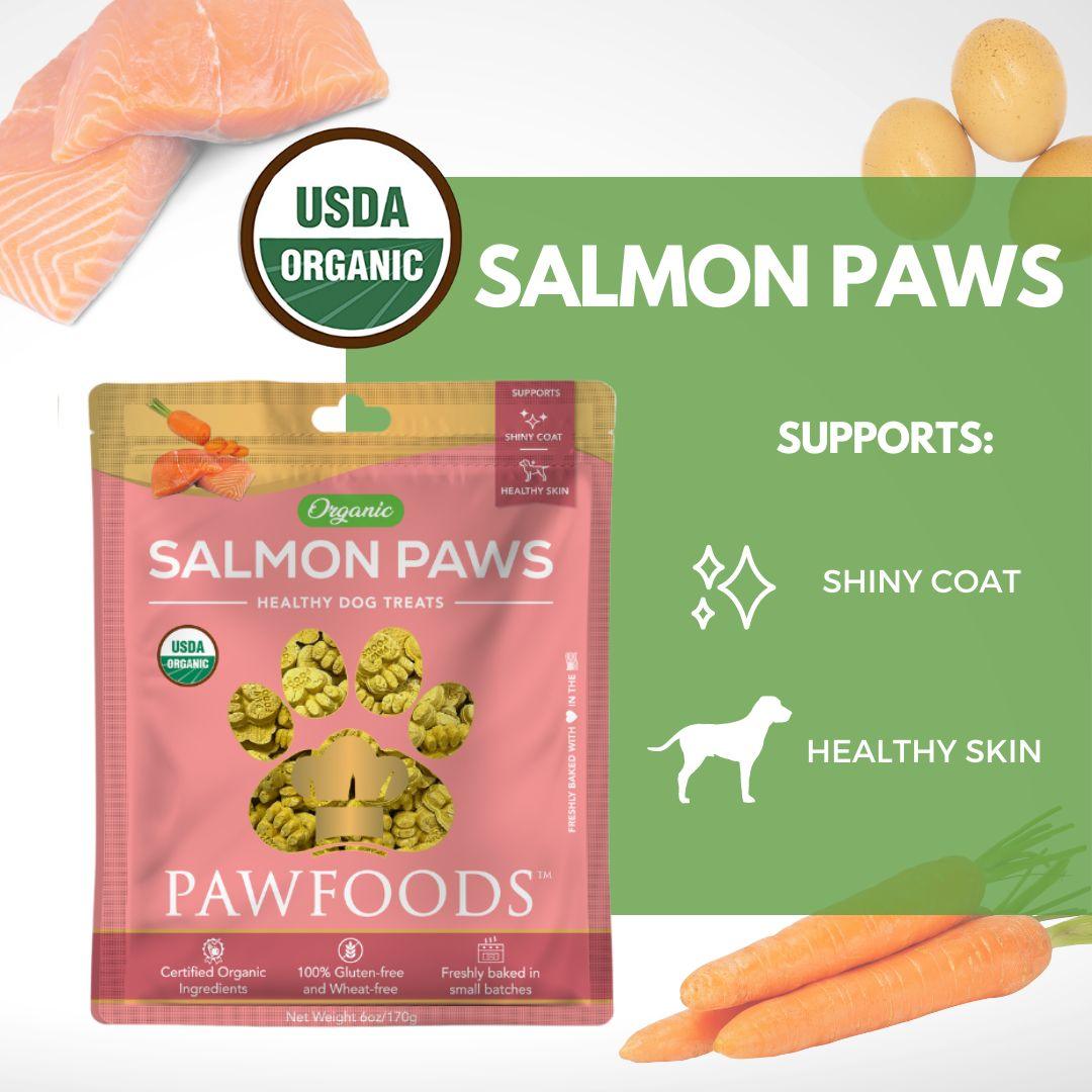 PawFoods Healthy Treats | Delicious & Organic