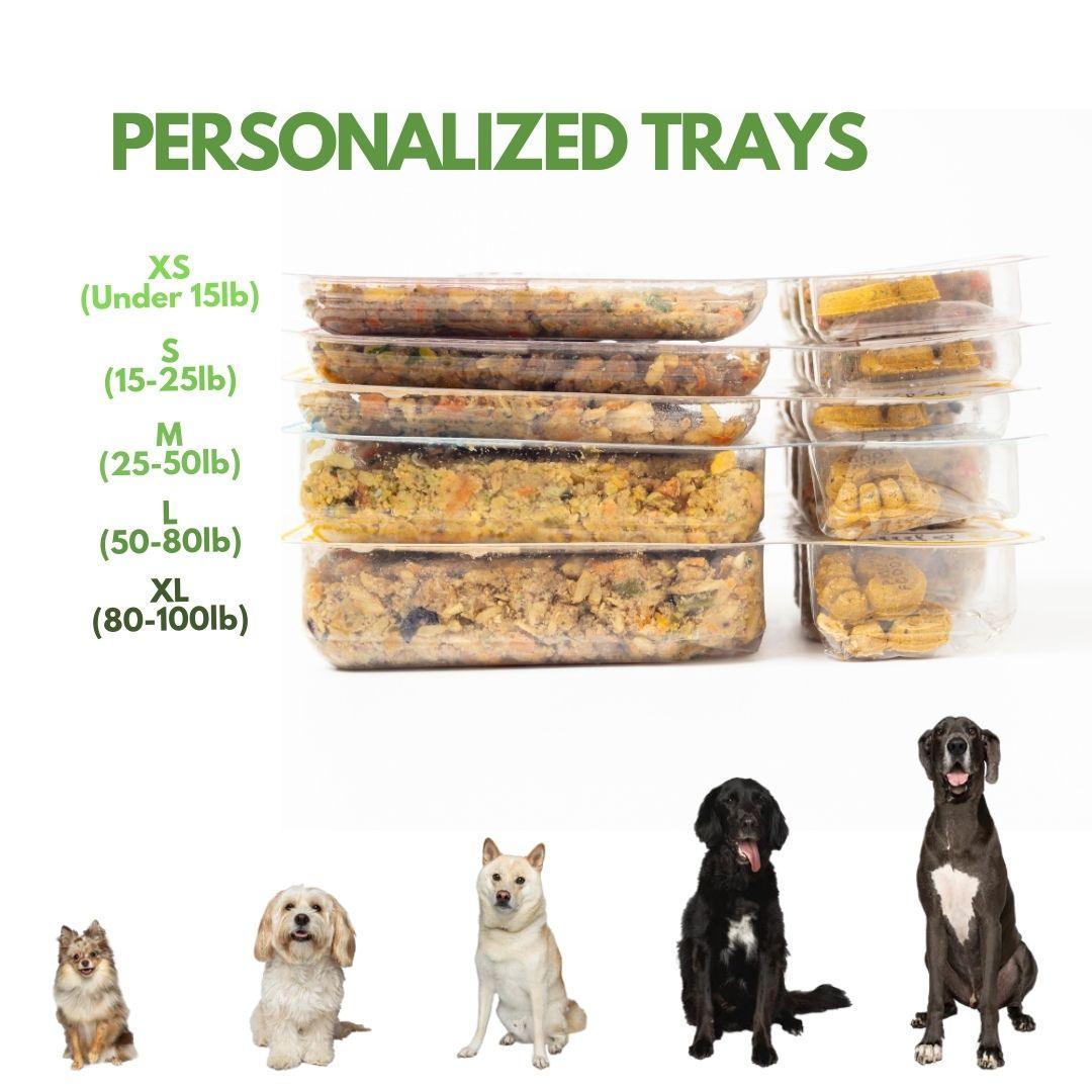 PawFoods FreshMeals | Best Fresh Food for Dogs
