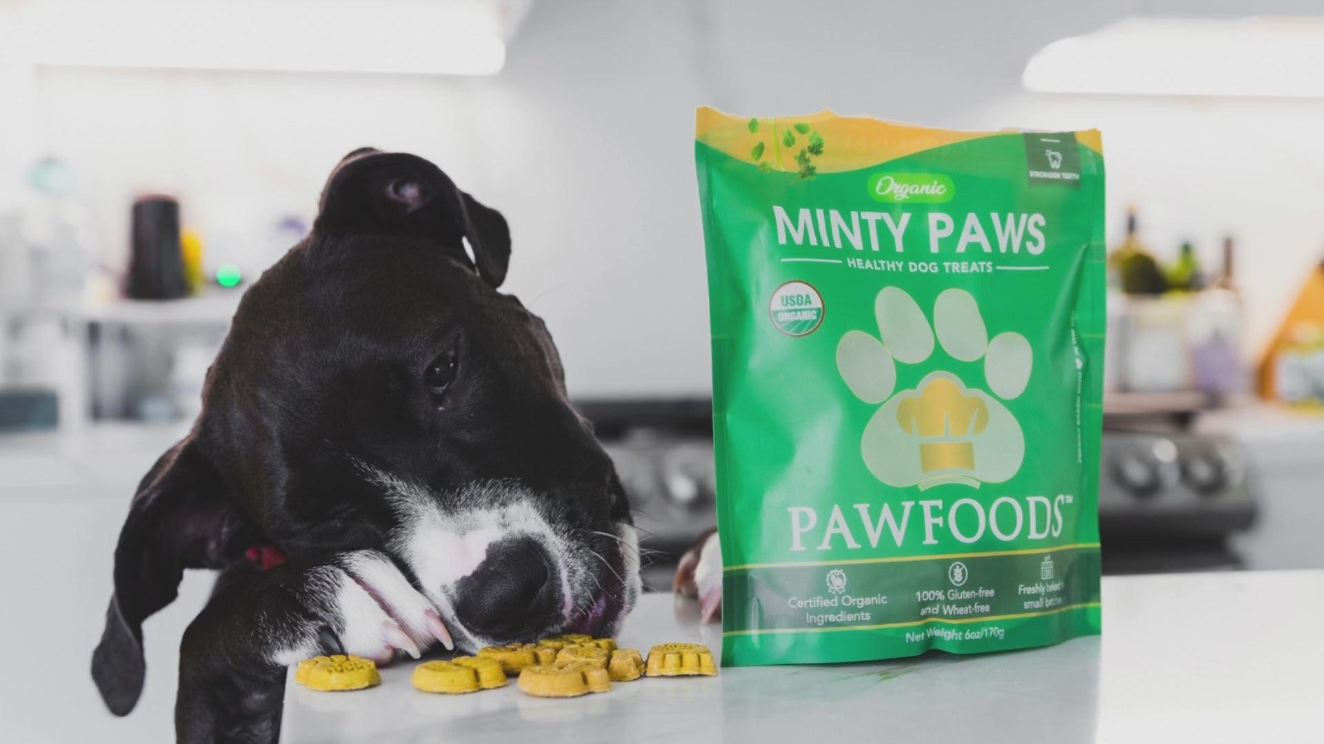 Minty Paws – PawFoods