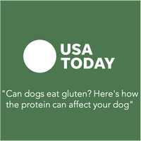 can dogs eat gluten? here's how the protein can affect your dog