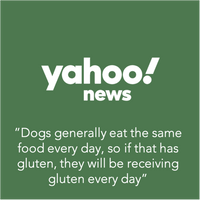 dogs generally eat the same food every day, so if that has gluten, they will be receiving gluten everyday