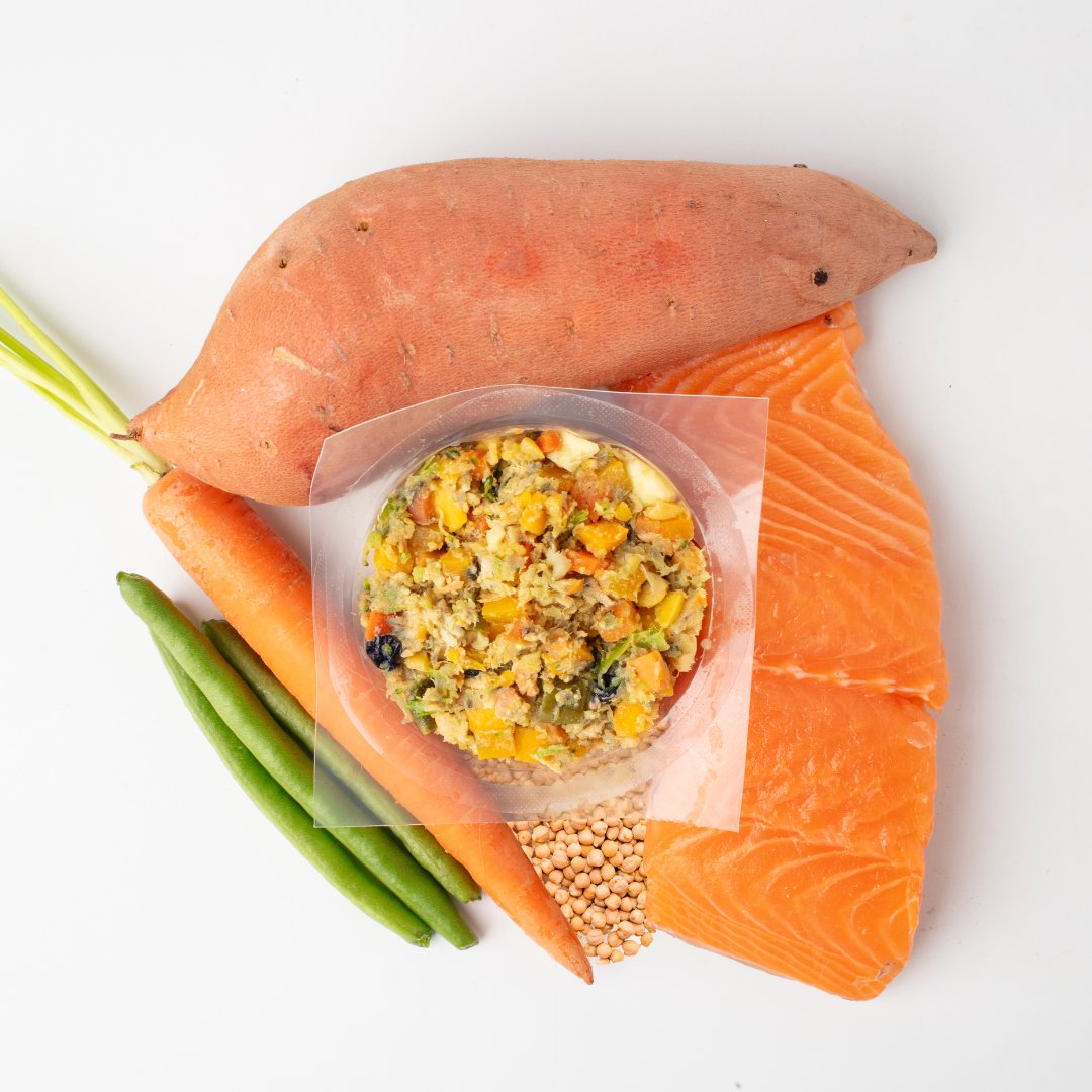 Salmon Recipe - PawFoods